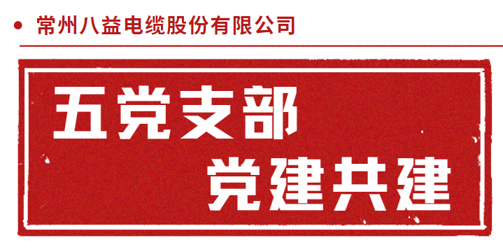 三門核電倒送電耐火電纜 五黨支部黨建共建！